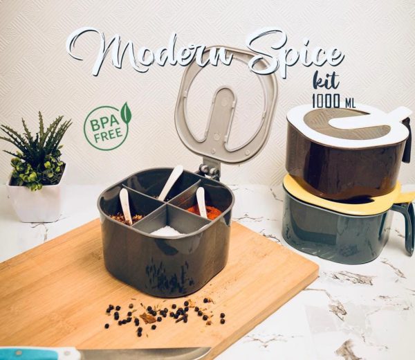 4-in-1 Modern Spice Kit – Partition Seasoning Box with Free Spoon (Random Color)